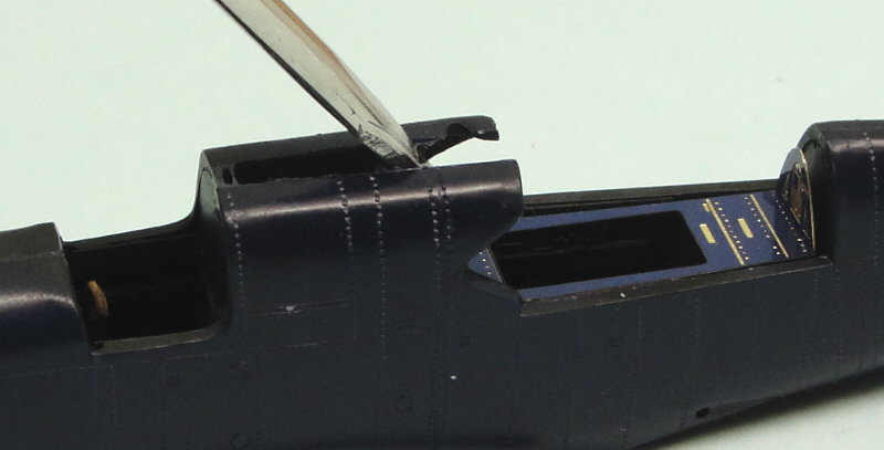 AFIR041.JPG