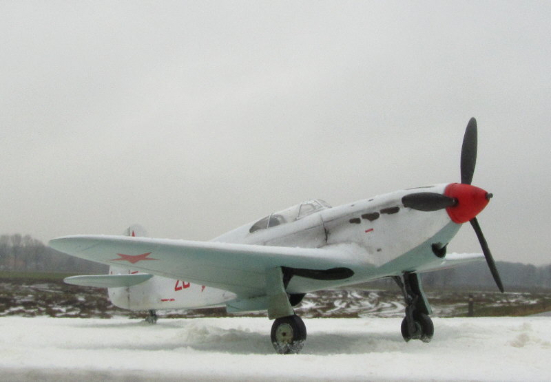 AYK1068.JPG