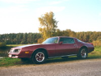 My first Firebird.