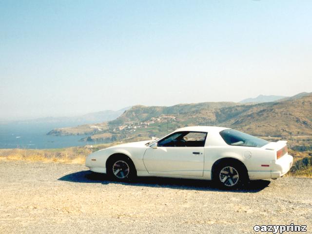 1991 Pontiac Firebird