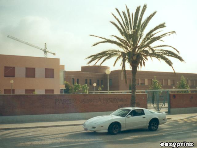 1991 Pontiac Firebird