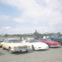 Franka and friends basking in the sun on APOW-2000 in Antwerp