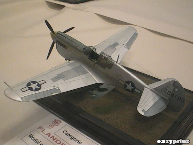 Curtiss P-40N Warhawk
