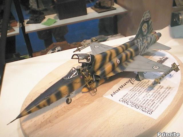 Northrop F-5A 'Freedom Fighter' / Tiger Meet
