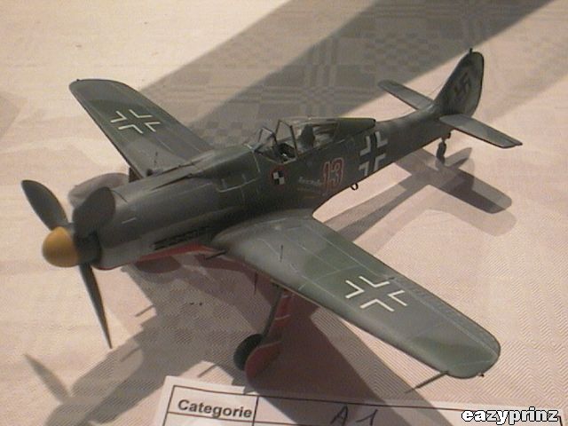 Focke-Wulf Fw-190D-9