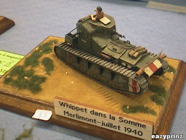 Whippet dans la Somme