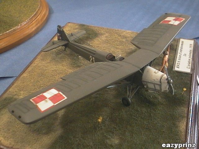 RWD-8